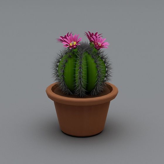 Cactus Flower Pot 3D model