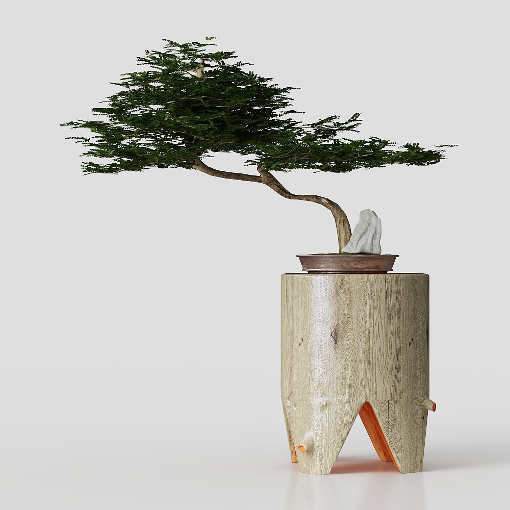 Bonsai Ornaments