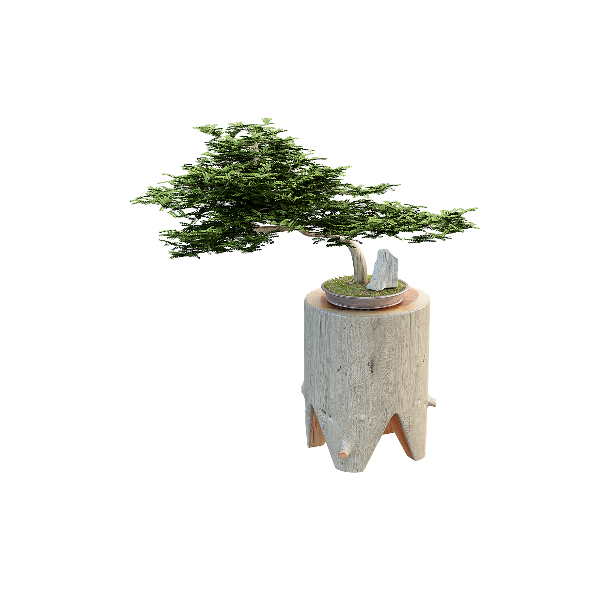 Elegant Bonsai 3D Model – Low Poly Nature Art