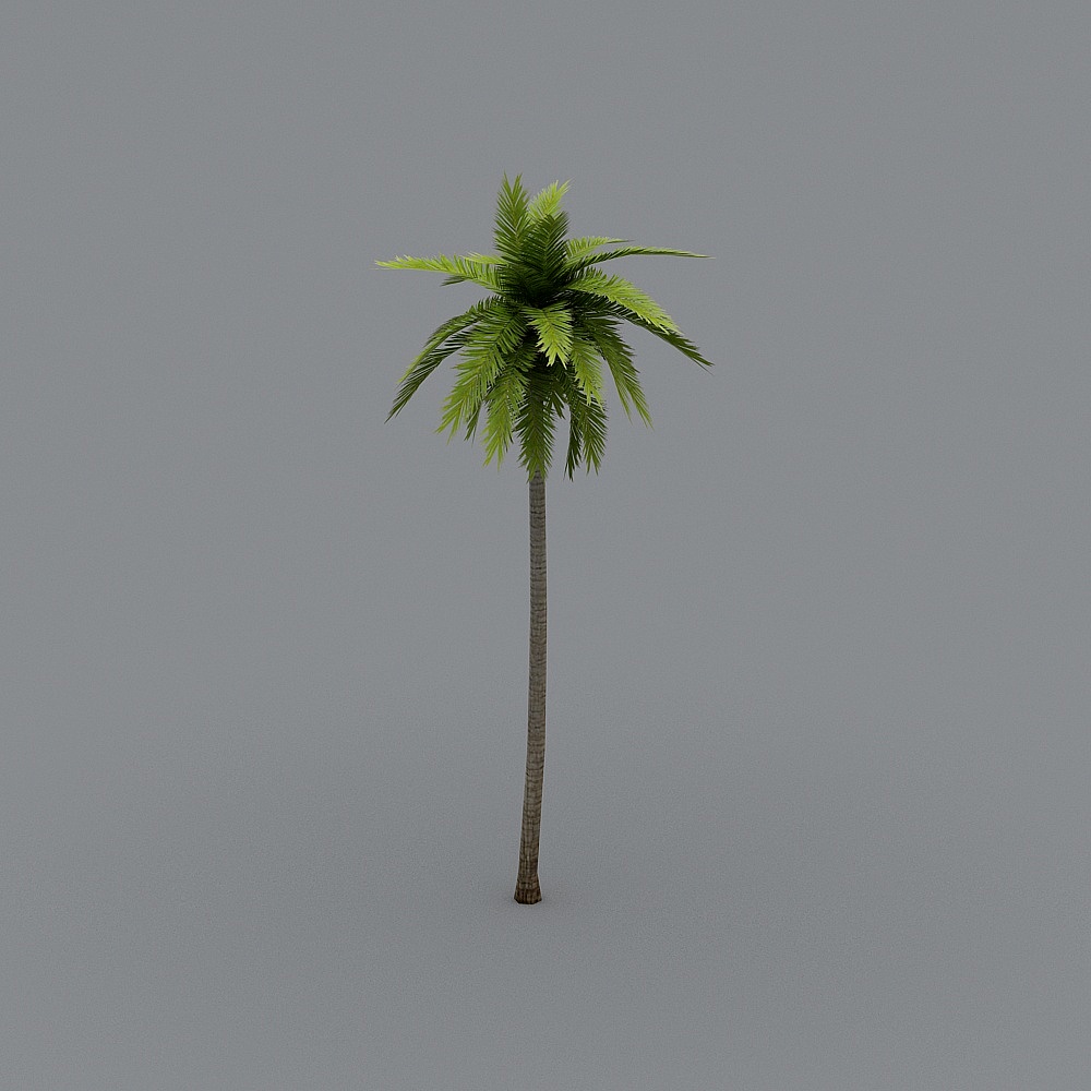 FF_tree_coconutpalm04