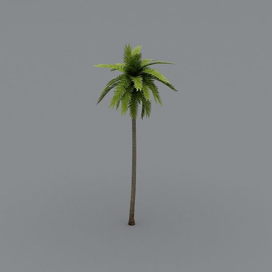 Arbre de noix de coco FF 04