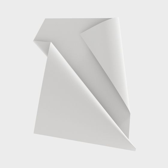 Low Poly Origami Art 3D Model