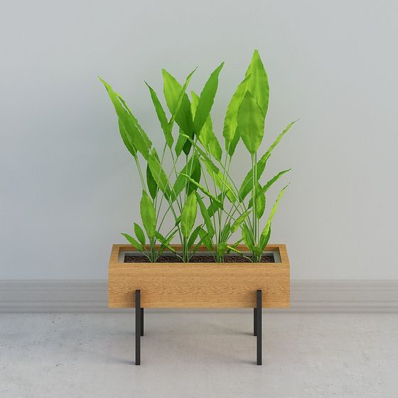 Urban Oasis 3D model - Low Poly Plant Pot