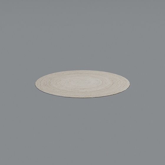 Woven Rug 3D model