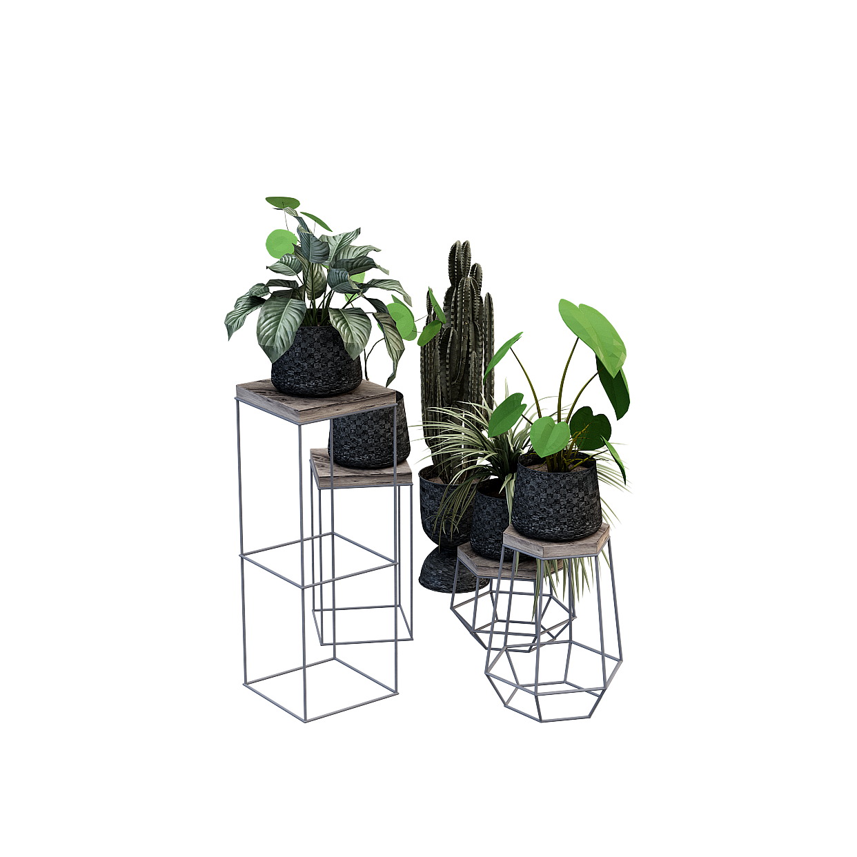 Stylish Low-Poly Plant Stand 3D Model – Black Metal Frame