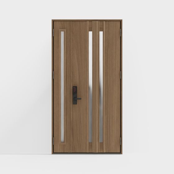 Elegant Modern Door 3D model