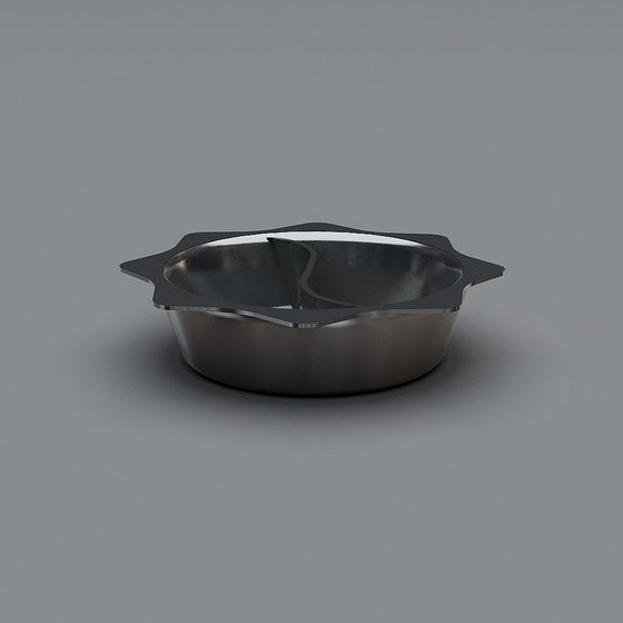 Modern Double Compartment Stainless Steel Pot 3D model