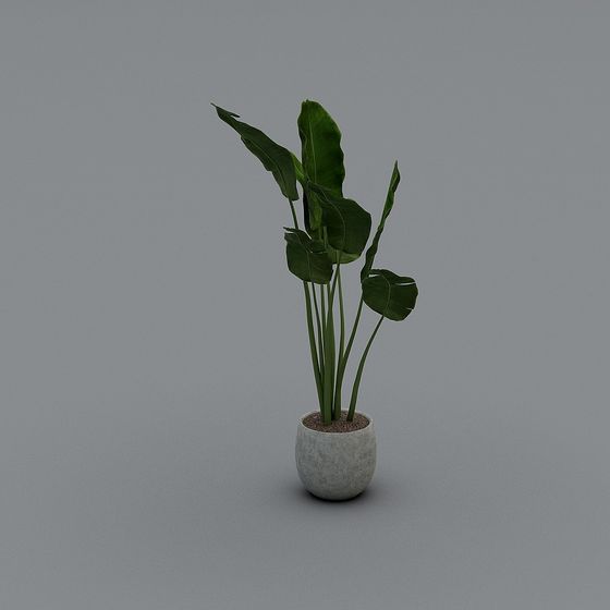 Tropical Potted Plant 3D model