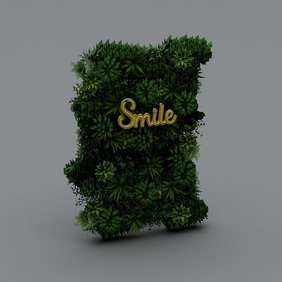 Vibrant Smile Wall Low-Poly 3D model