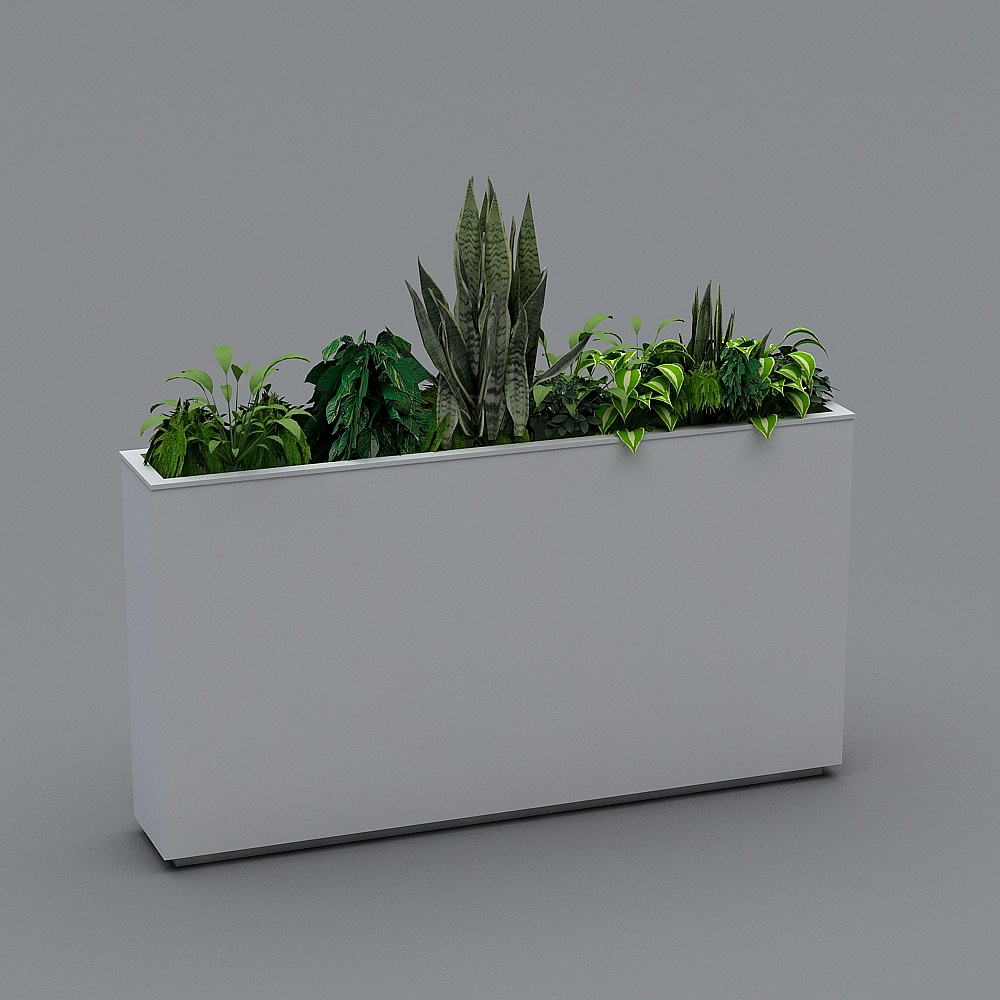 Plant+divider_#1