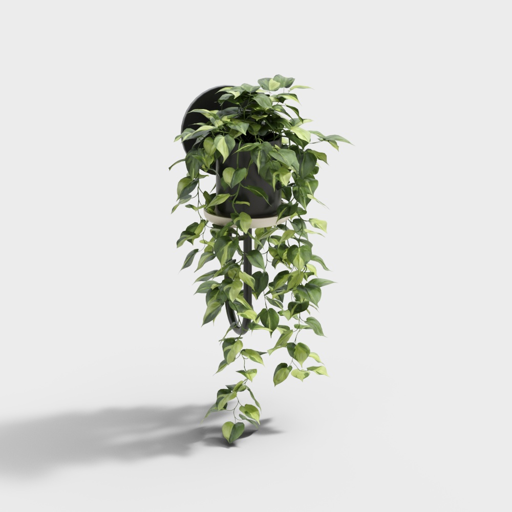 Modern bonsai bonsai