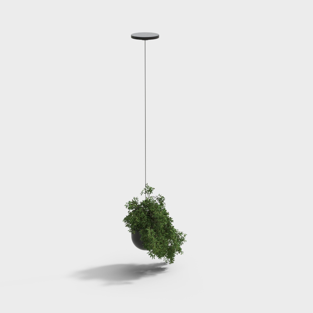 Piante in vaso appese moderne