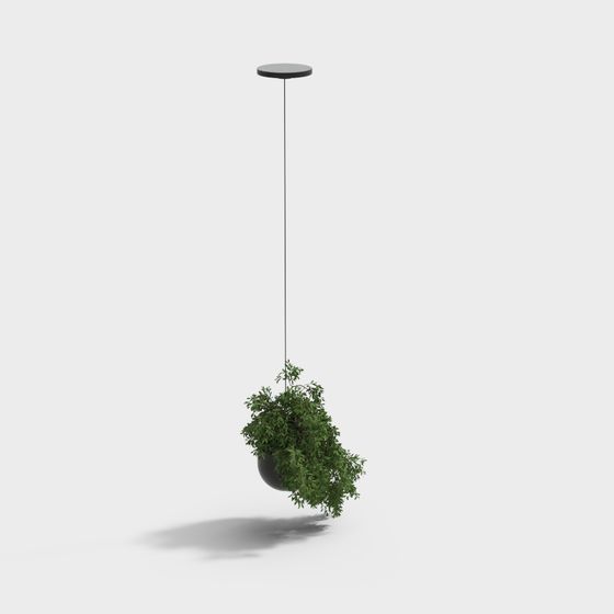 Piante in vaso appese moderne