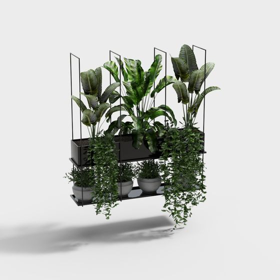 Modern Potted Bonsai 3D Model