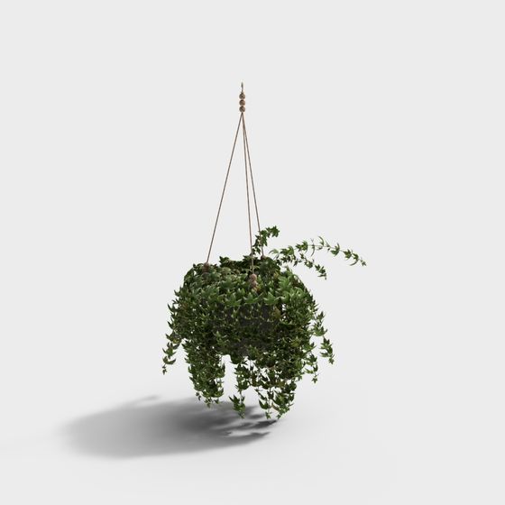 Hanging Plant Basket 3D model