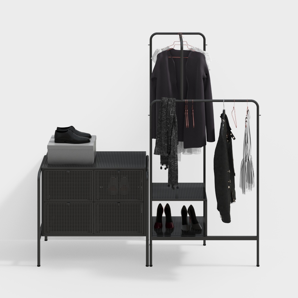 Modern hanger shoe cabinet combination