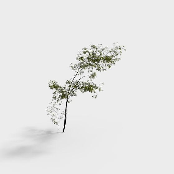 Lively Low-Poly 3D Tree Model for Creative Projects