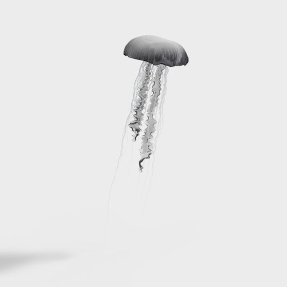 Low-Polygon Detailed Jellyfish 3D model