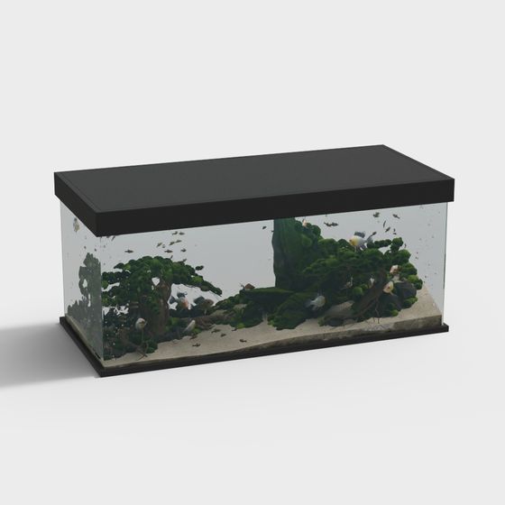 Vibrant Underwater Aquarium 3D model