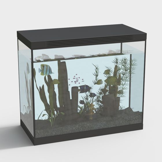 Vibrant Aquarium 3D model for Creative Projects