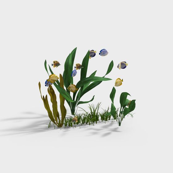 Coral Reef Paradise 3D model