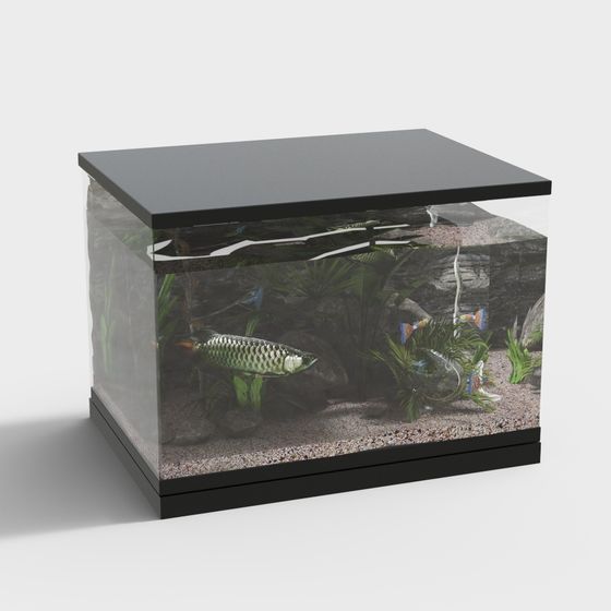 Vibrant Aquarium 3D Model