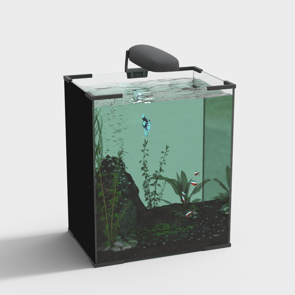 Vibrant Small Aquarium 3D model