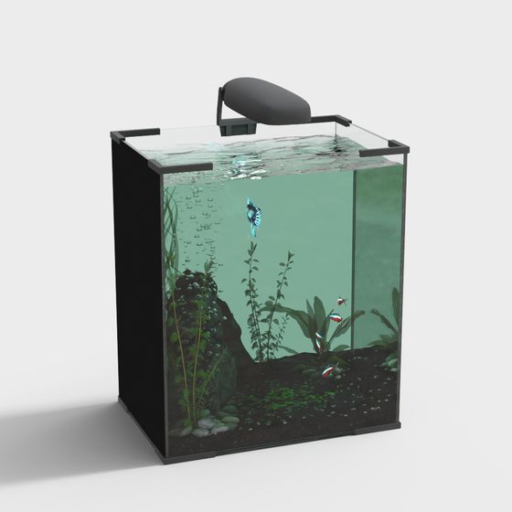 Vibrant Small Aquarium 3D model