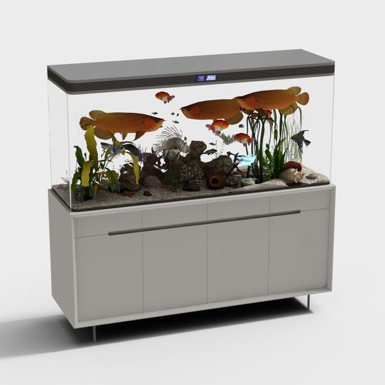 bể cá hiện đại