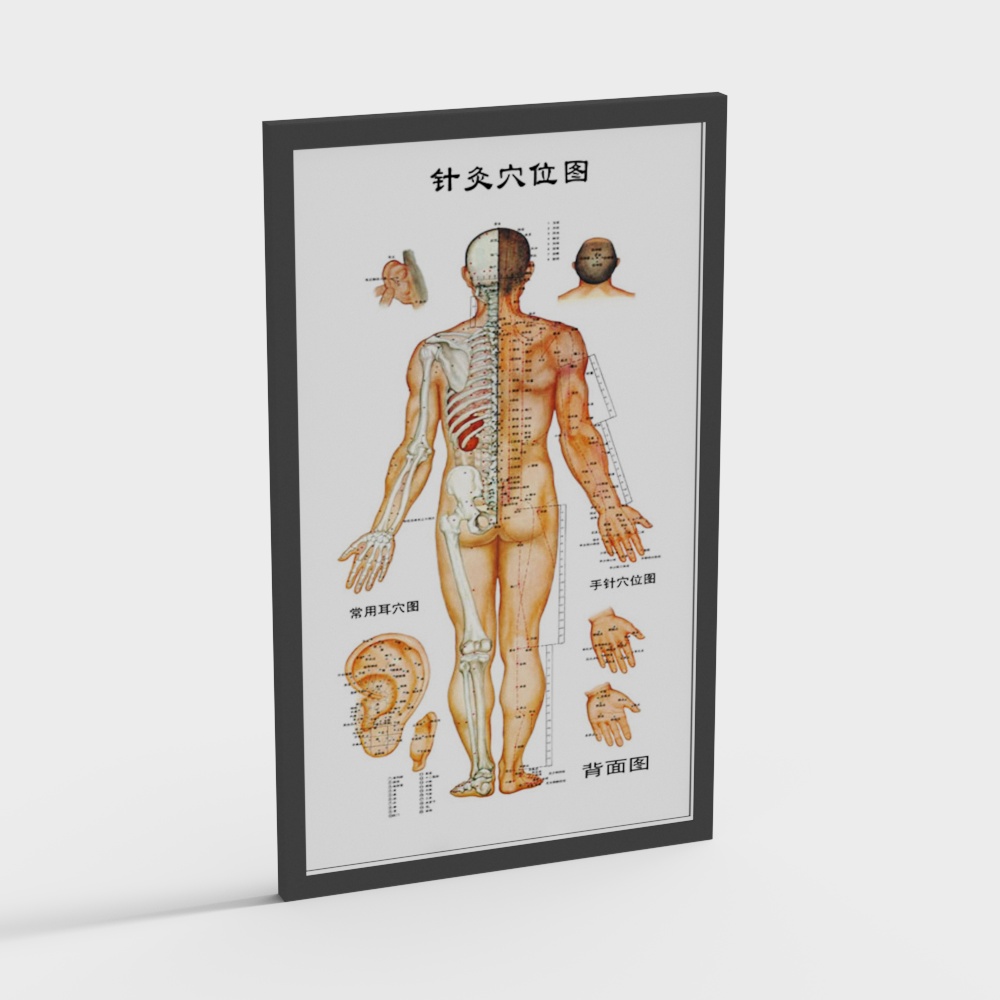 Detailed Acupuncture Points 3D Model for Creative Projects