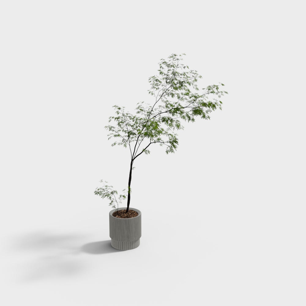Urban Green Plant 3D Model – Low-Poly Nature Element