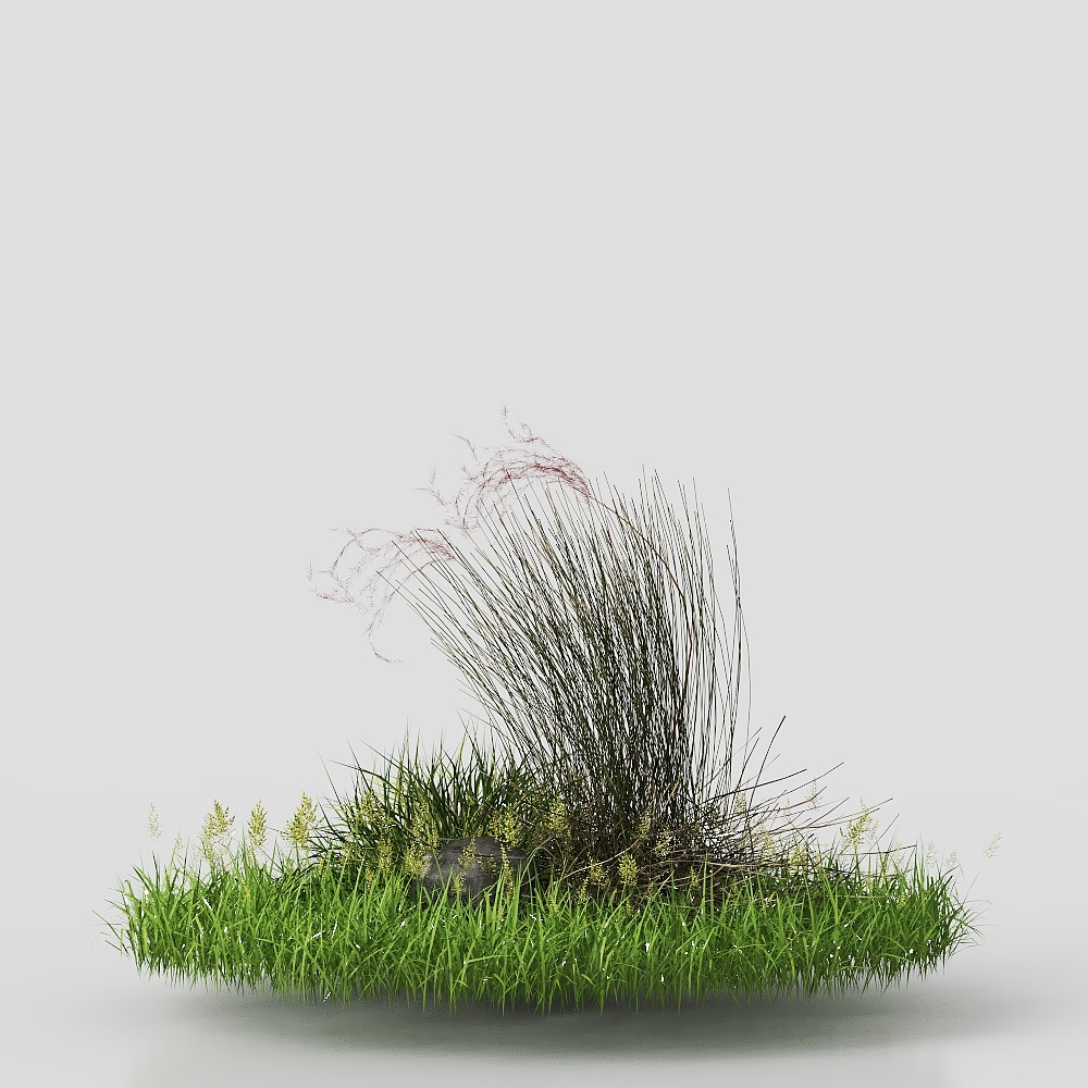 3D ground cover plant 5