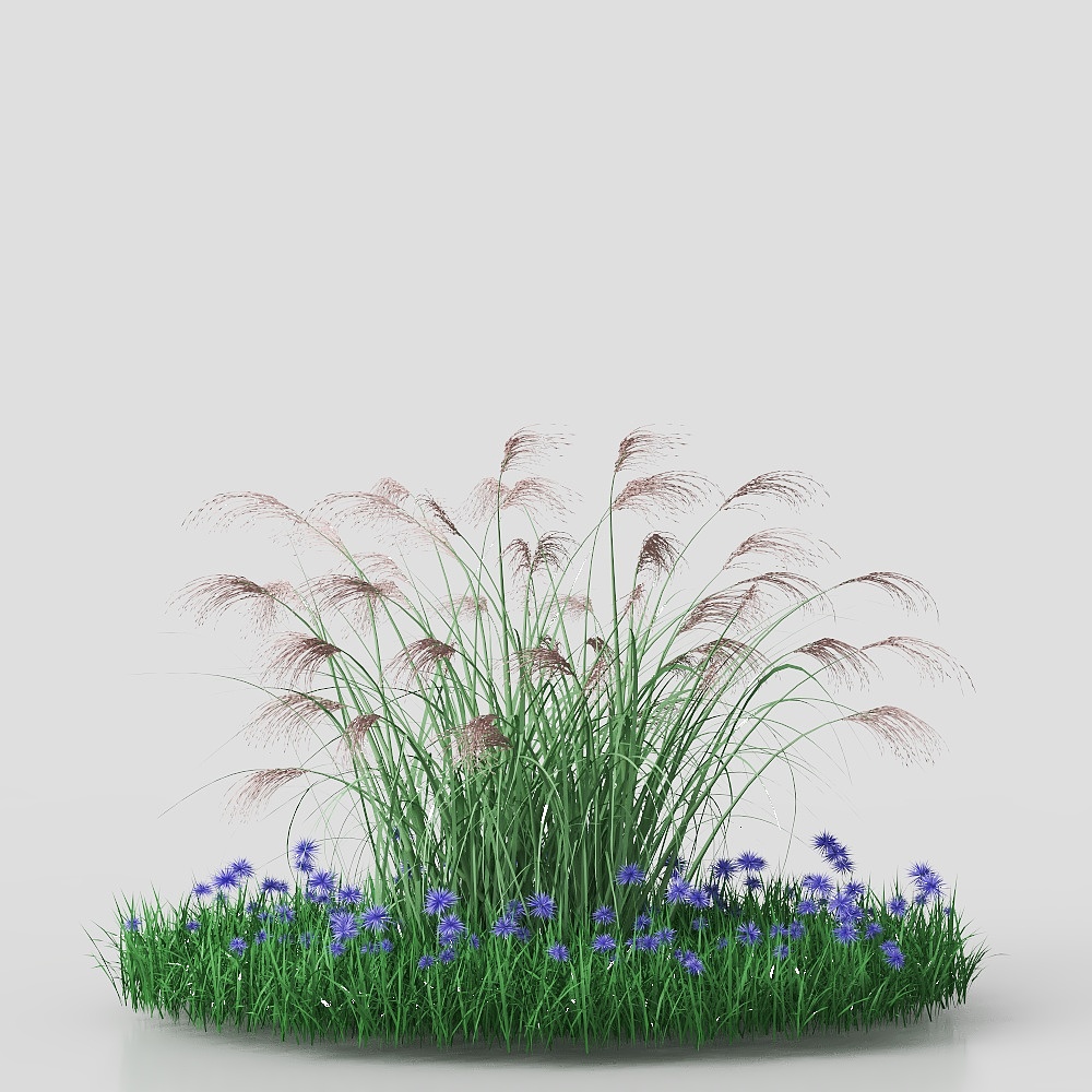 3D ground cover plant 2
