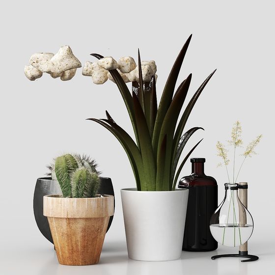 Stylish Low Poly Plant 3D Model for Modern Spaces