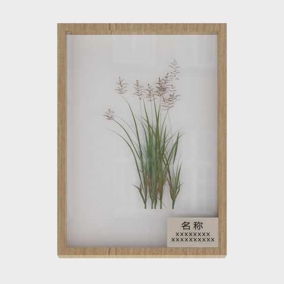 Low-Poly Grass Plant Frame 3D model