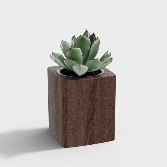 Low Polygon Wooden Planter Succulent 3D model