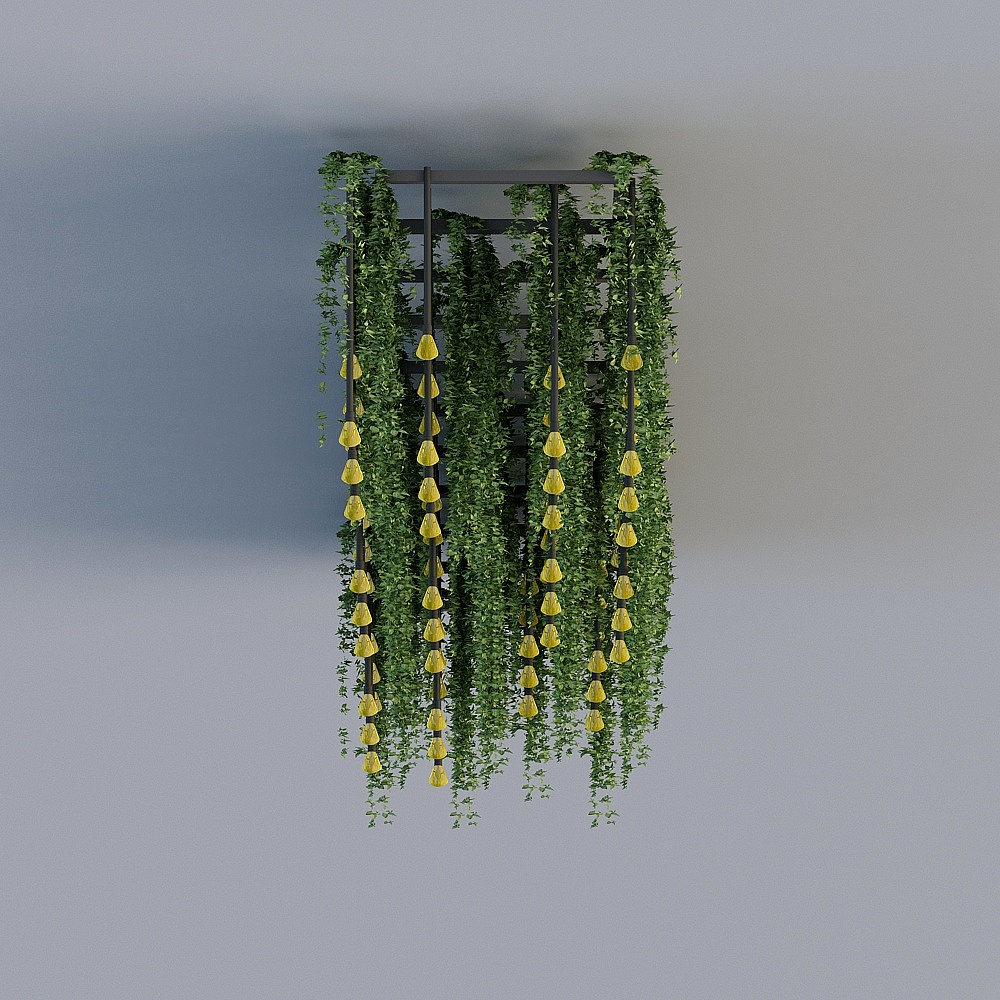 Cỏ Treo và Đèn Chiếu Sáng