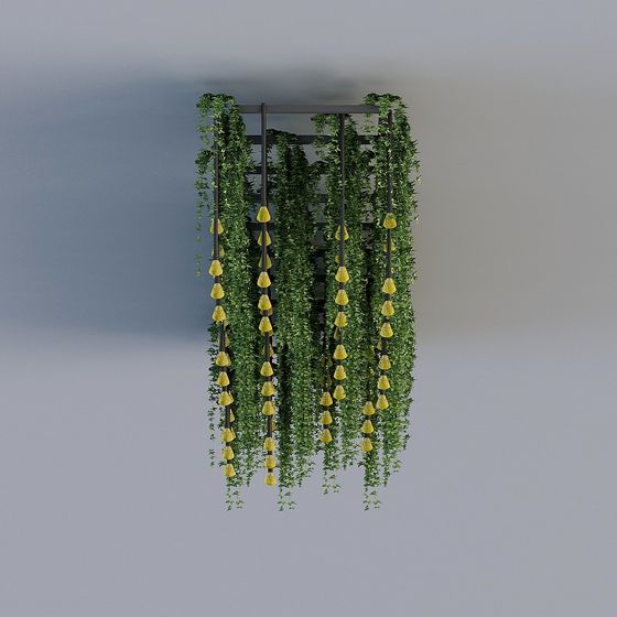 Cỏ Treo và Đèn Chiếu Sáng