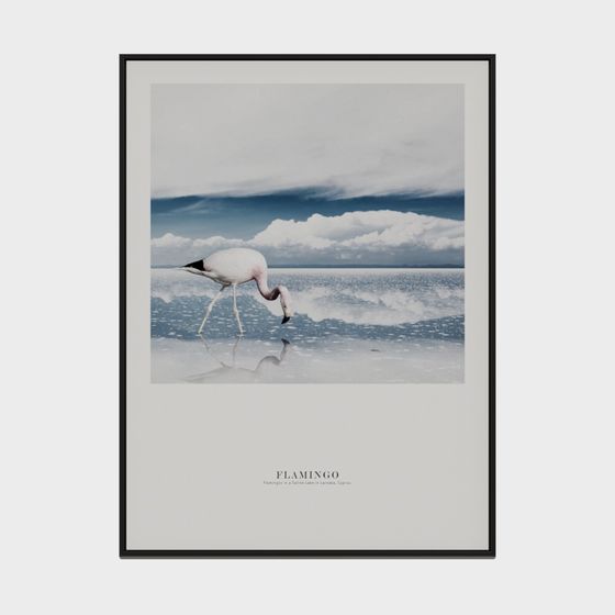 Flamingo 3D model for Creative Projects