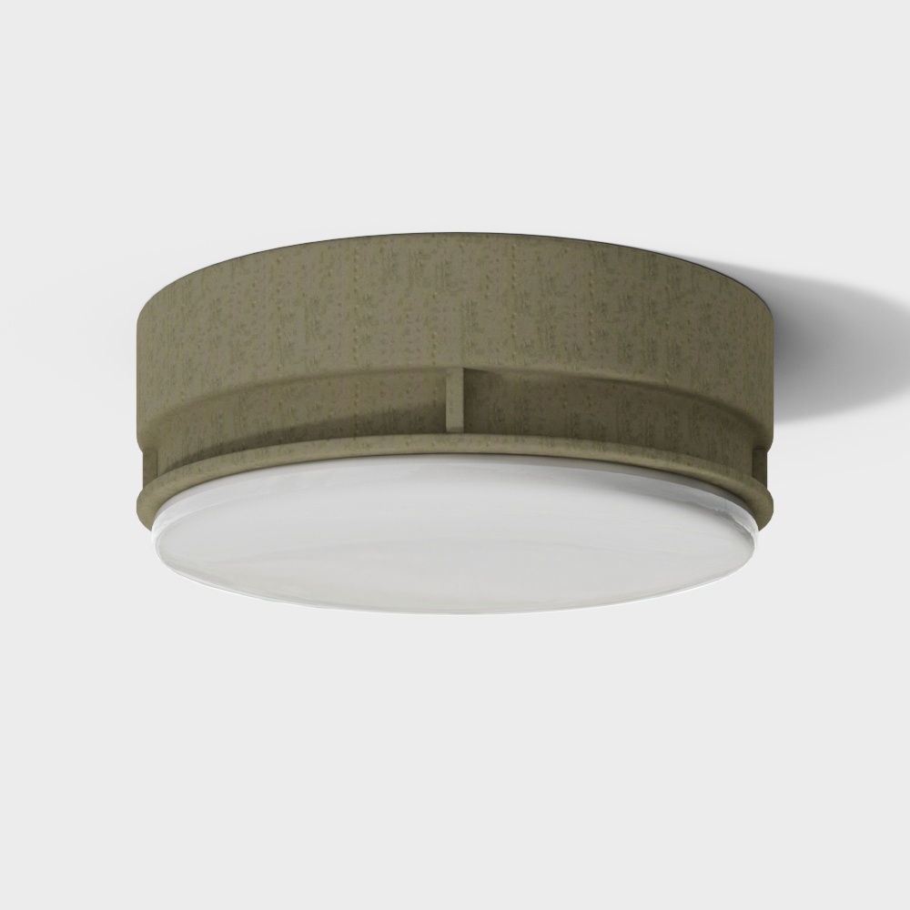 C02 - Ceiling light