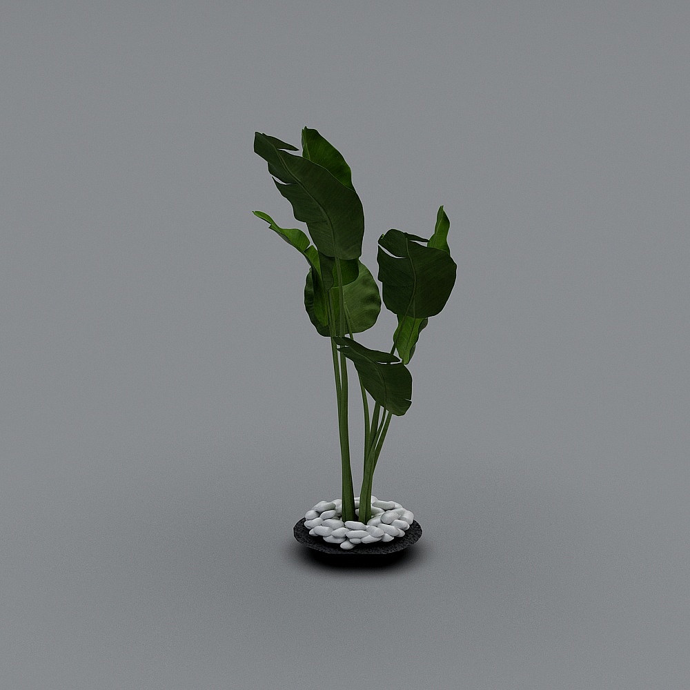 Tropical Plant 3D model for Creative Projects