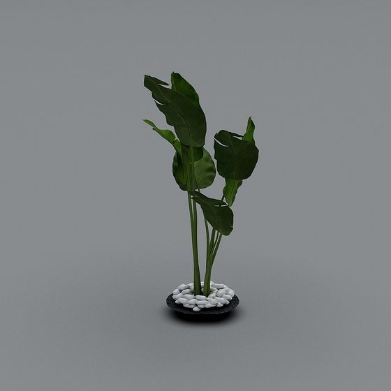 Tropical Plant 3D model for Creative Projects