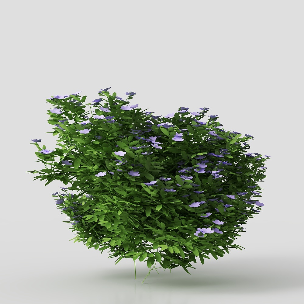 Exterior greenery 11