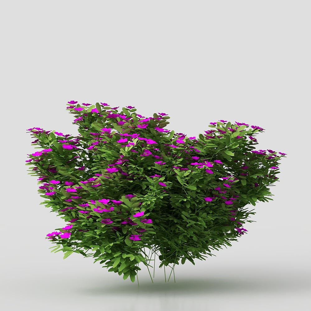 Verde Esterno 10 ERBA