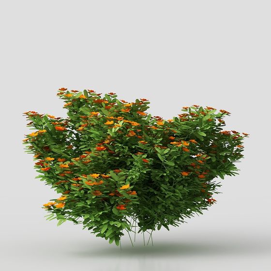 Уличная зелень 12