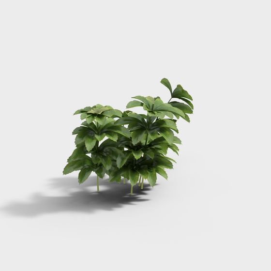 Soul of the Forest 3D model for Creative Projects