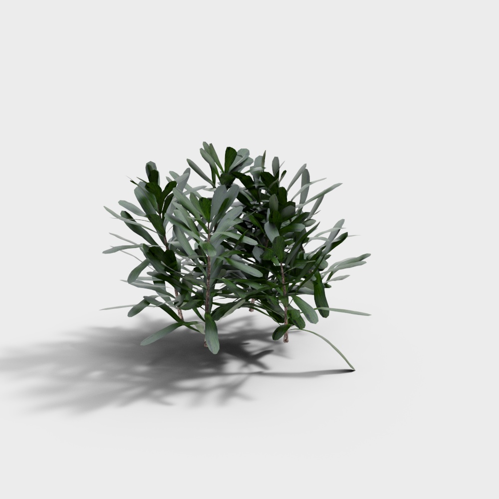 Exterior greenery 98