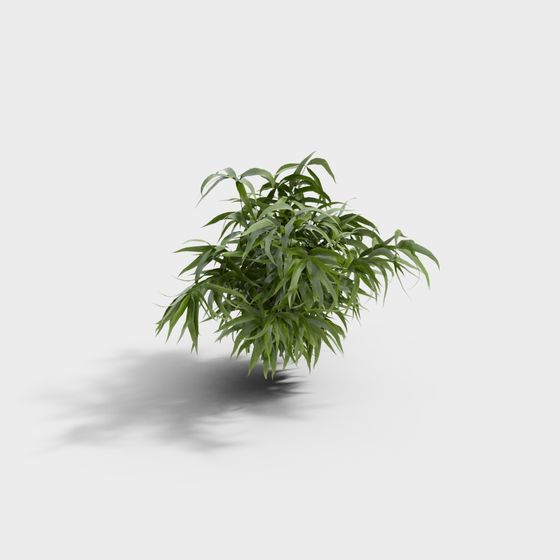 Lifelike Low-Polygon Green Plant 3D model