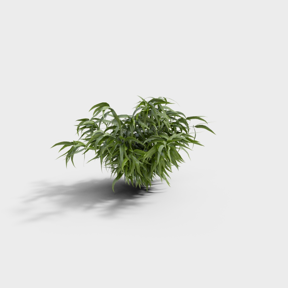 Végétation extérieure 93