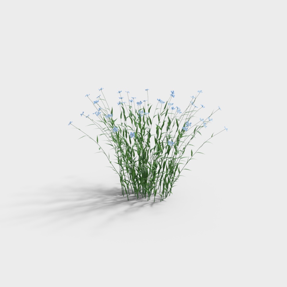 Exterior greenery 119